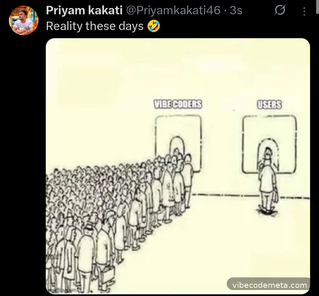 Vibe Coders vs Users